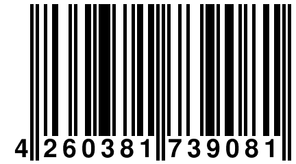 4 260381 739081