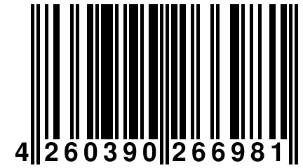 4 260390 266981