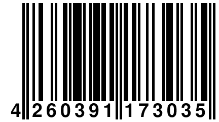 4 260391 173035