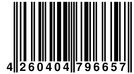 4 260404 796657