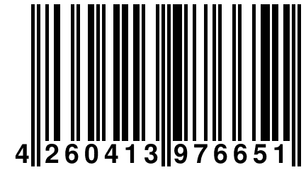 4 260413 976651