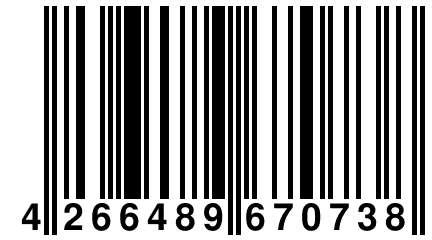 4 266489 670738
