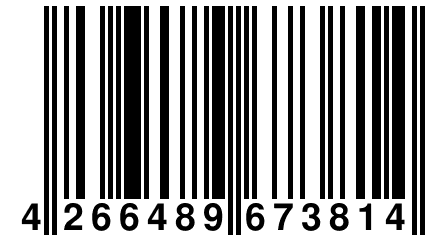 4 266489 673814