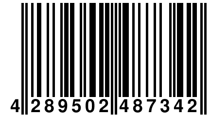 4 289502 487342