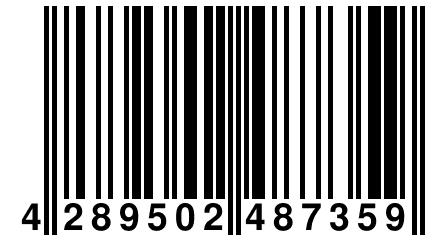 4 289502 487359