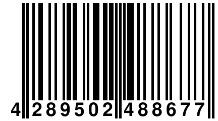 4 289502 488677