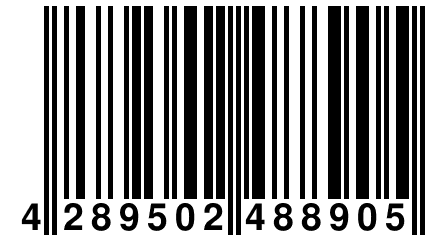 4 289502 488905
