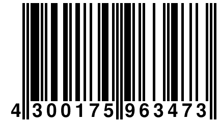 4 300175 963473