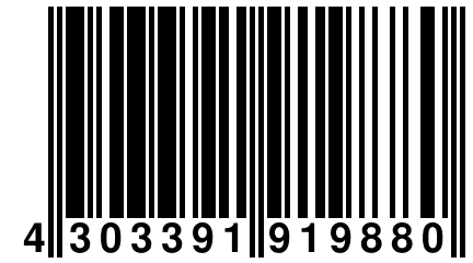 4 303391 919880