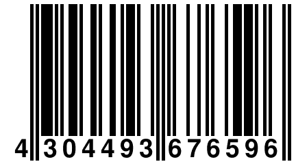 4 304493 676596