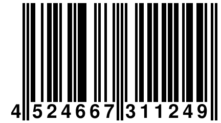 4 524667 311249