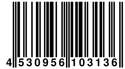 4 530956 103136