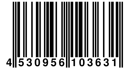 4 530956 103631