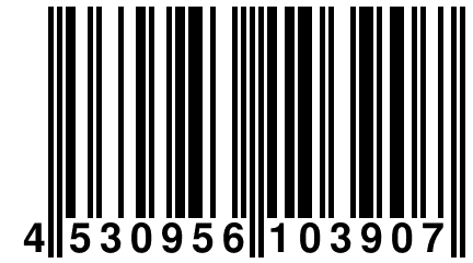 4 530956 103907