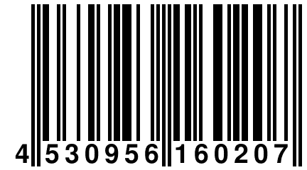 4 530956 160207