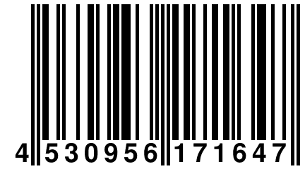 4 530956 171647