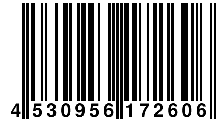 4 530956 172606