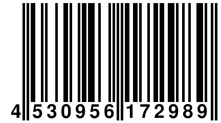 4 530956 172989