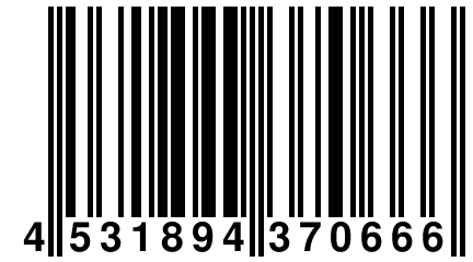 4 531894 370666