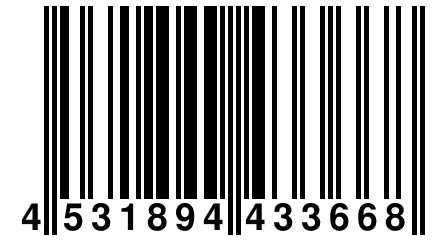 4 531894 433668