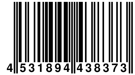 4 531894 438373