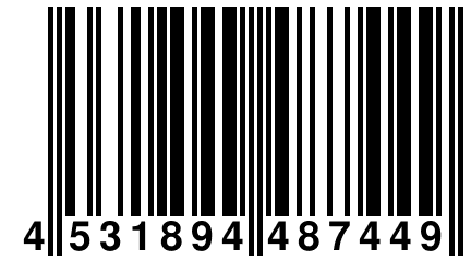 4 531894 487449