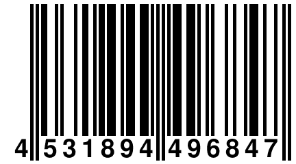 4 531894 496847