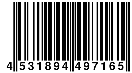 4 531894 497165