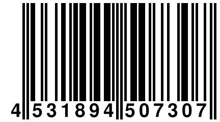 4 531894 507307