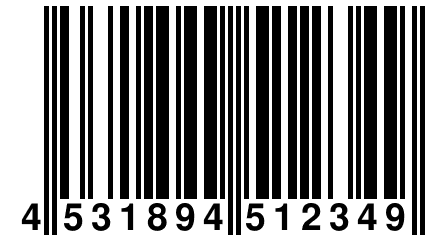 4 531894 512349