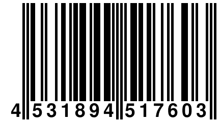 4 531894 517603