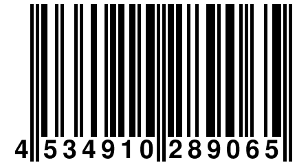 4 534910 289065