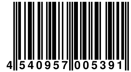4 540957 005391