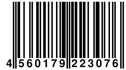 4 560179 223076