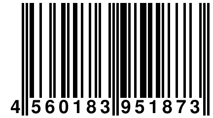 4 560183 951873