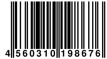 4 560310 198676