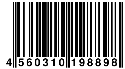 4 560310 198898