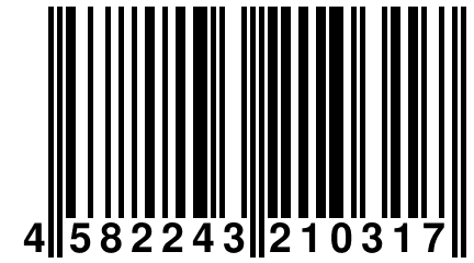 4 582243 210317