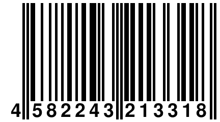 4 582243 213318
