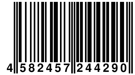 4 582457 244290