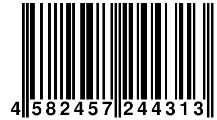 4 582457 244313