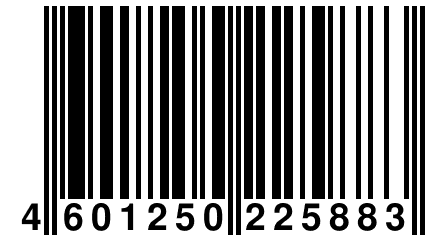 4 601250 225883