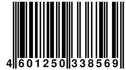 4 601250 338569