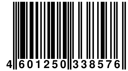 4 601250 338576