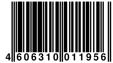 4 606310 011956