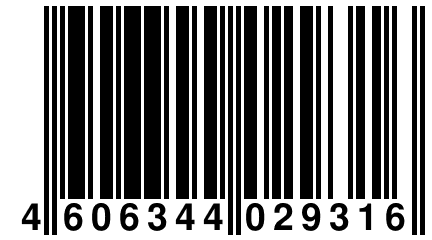 4 606344 029316