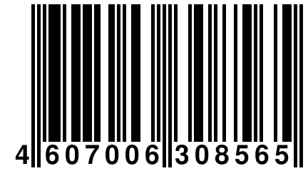 4 607006 308565