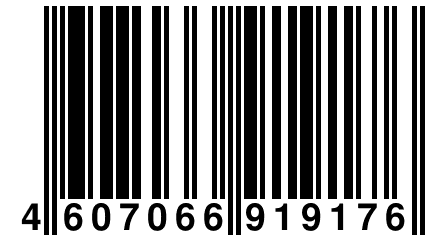 4 607066 919176
