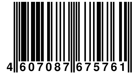 4 607087 675761
