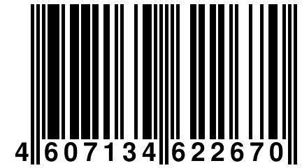 4 607134 622670
